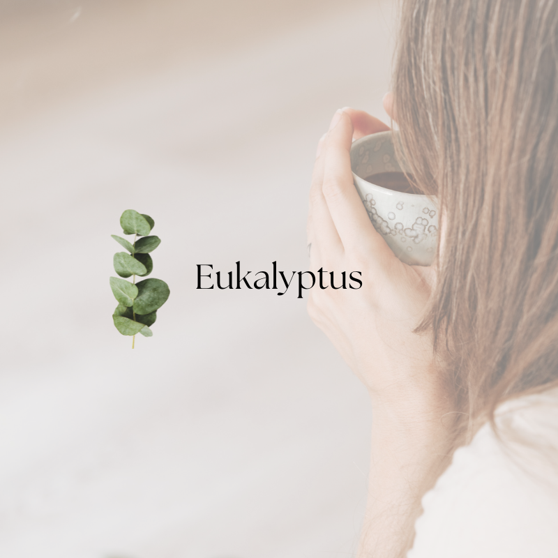 doTERRA Eucalyptus