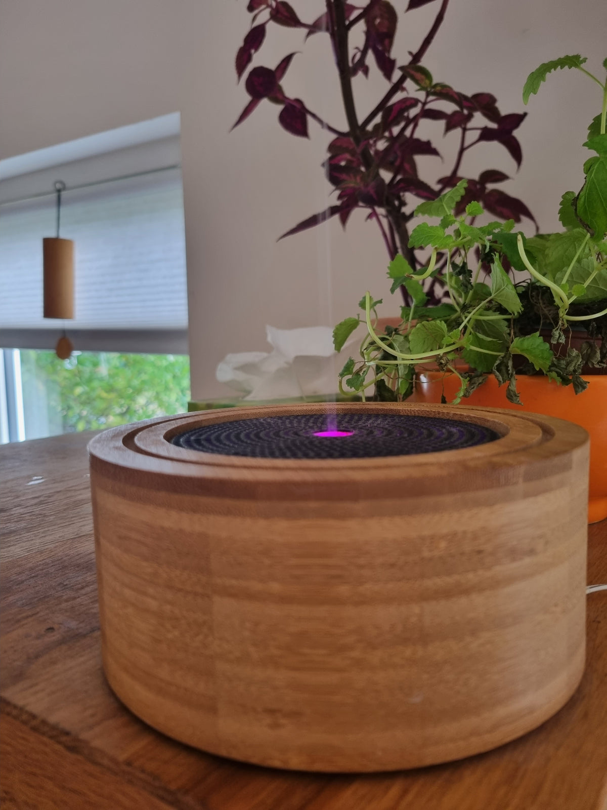 Aroma diffuser Elia