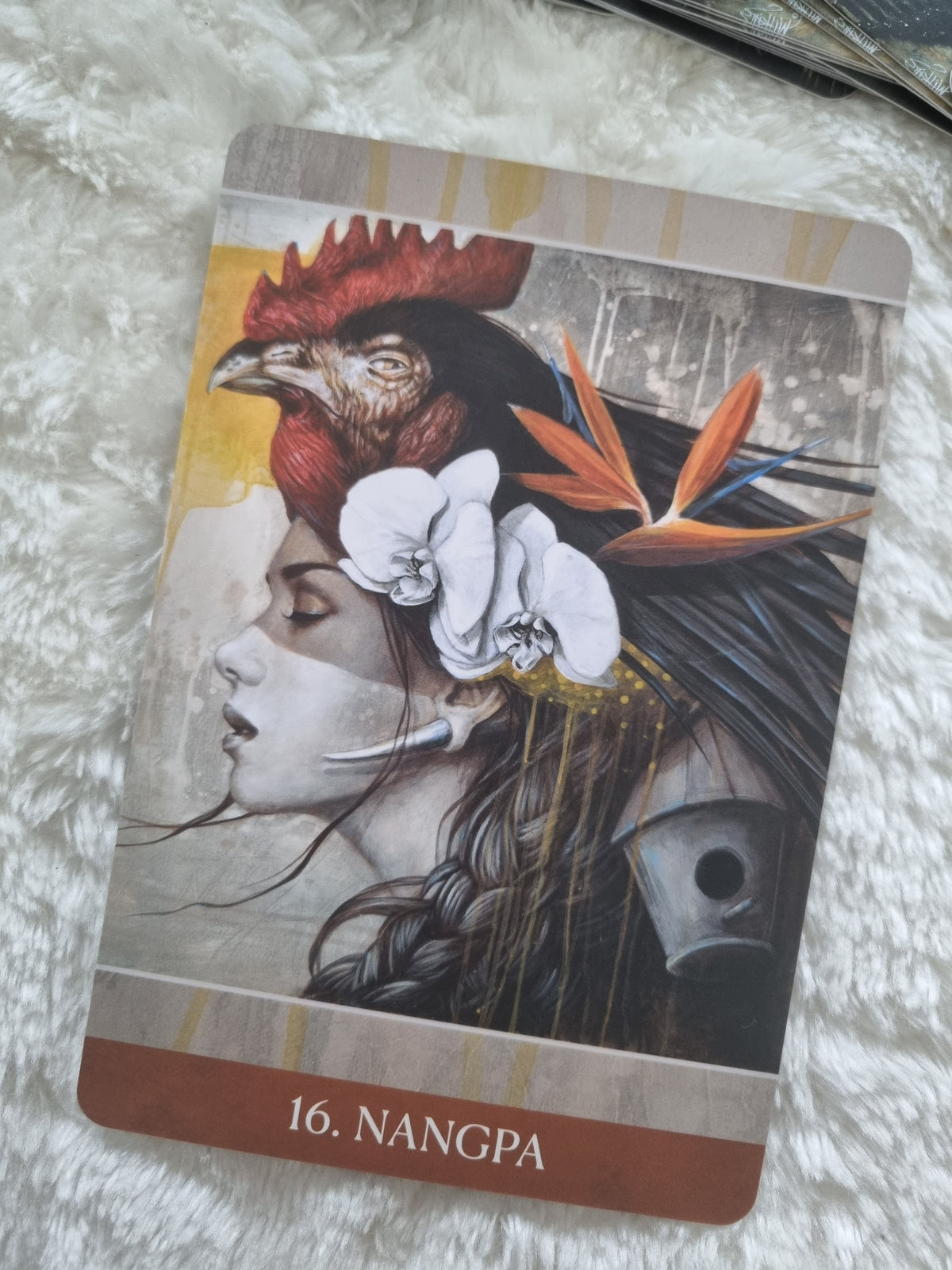 Medicine Heart Oracle