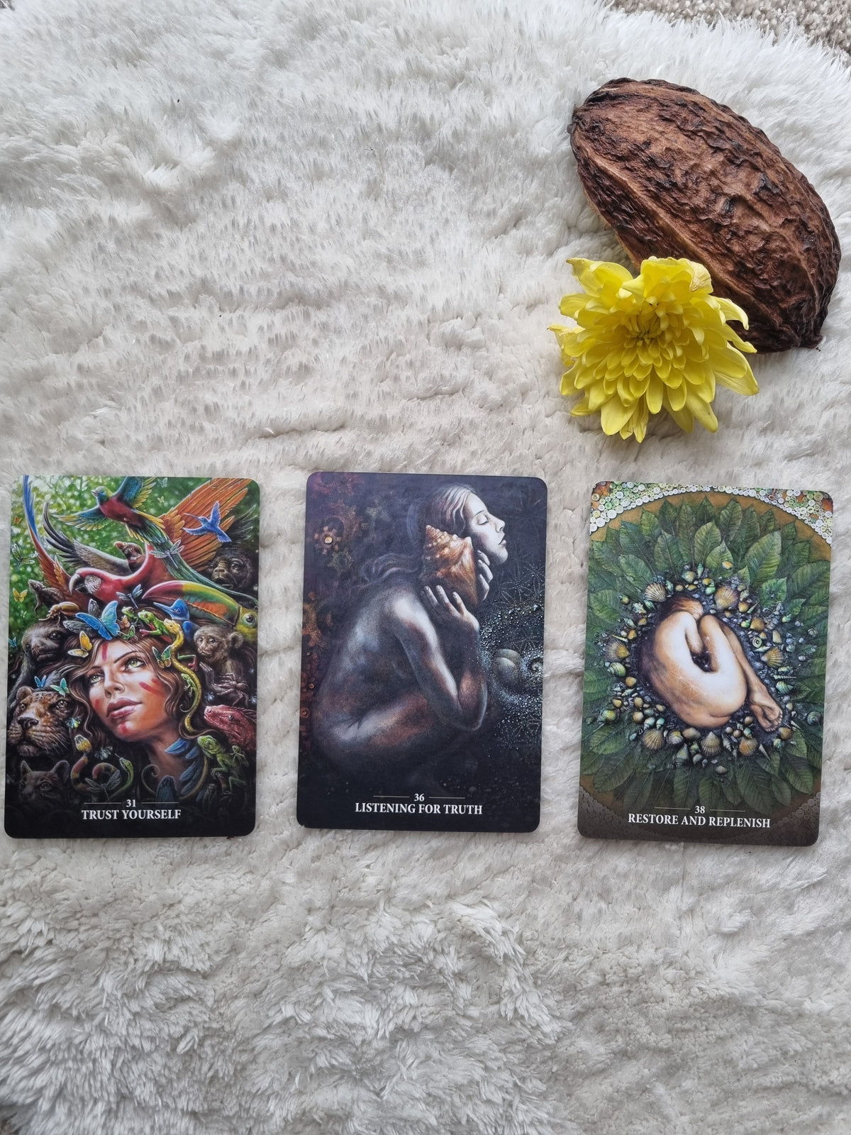 Sacred Rebels Oracle