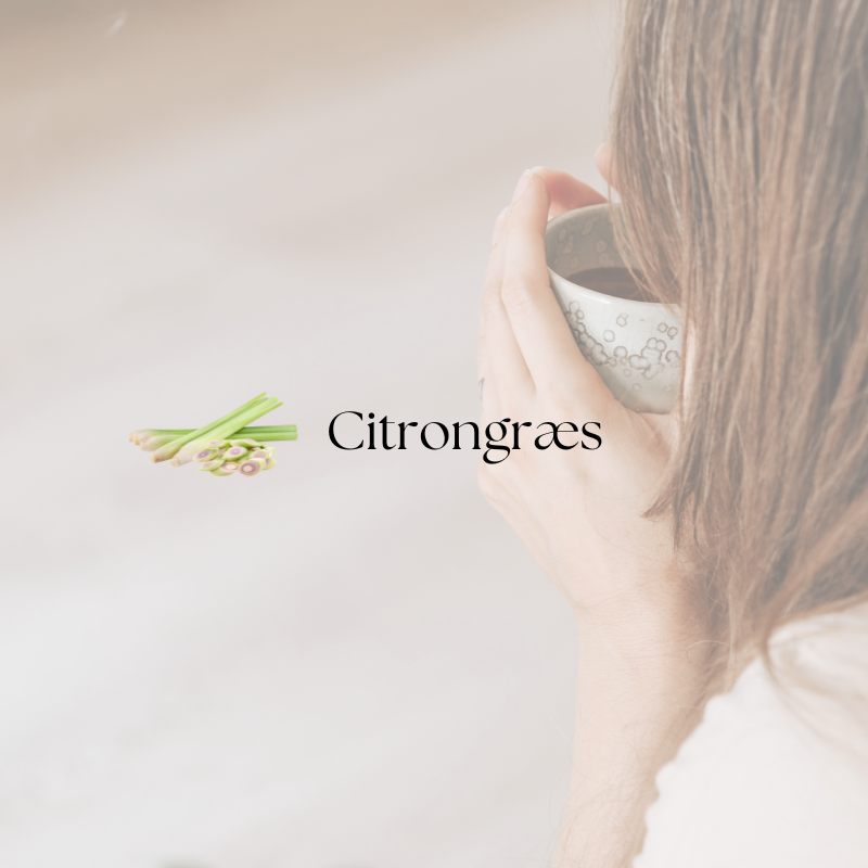 doTERRA Lemongrass (Citrongræs)