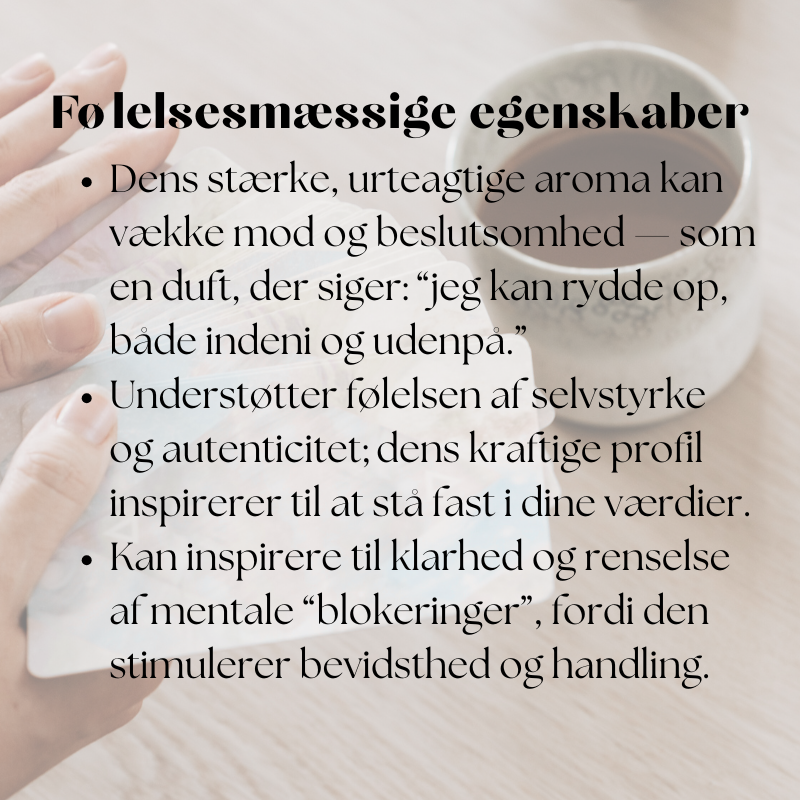 doTERRA Oregano Touch