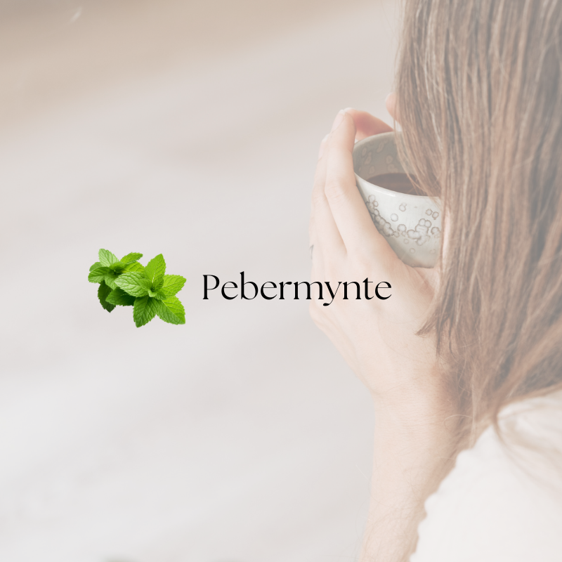 doTERRA Peppermint Touch (Pebermynte)
