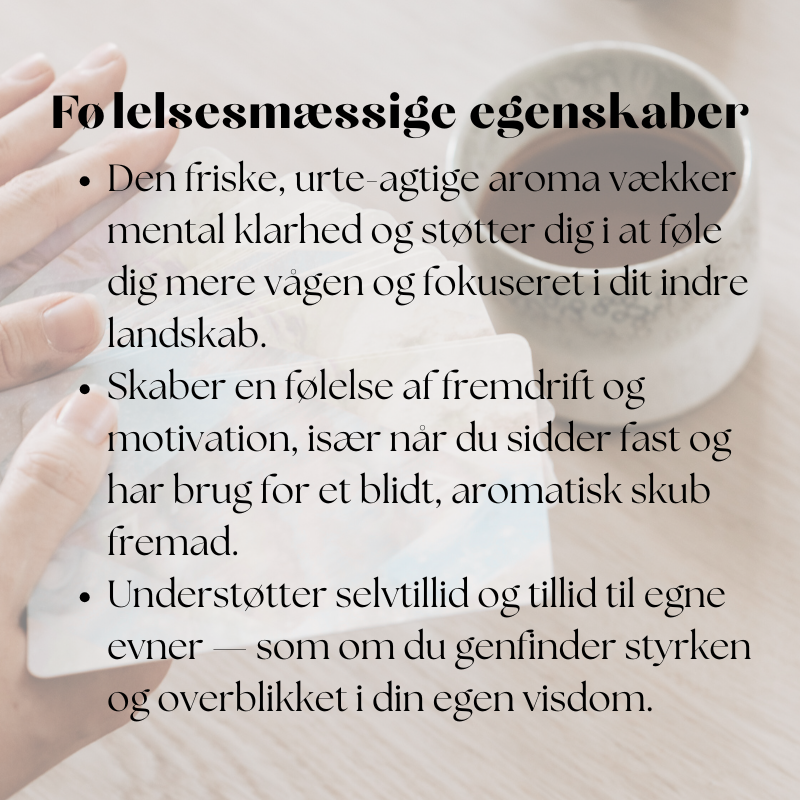 doTERRA Rosemary