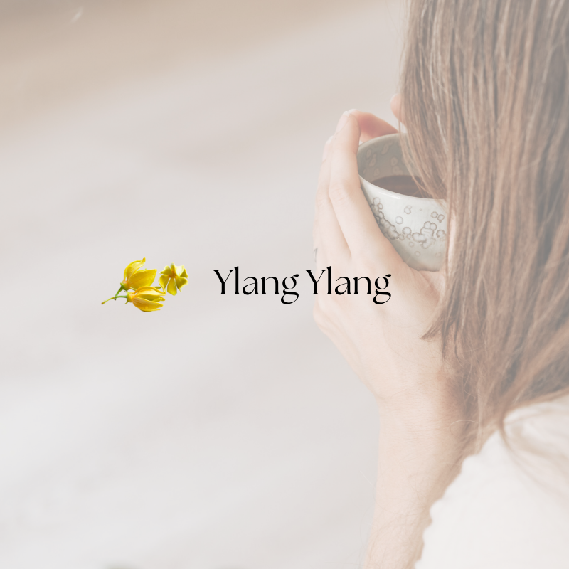 doTERRA Ylang Ylang