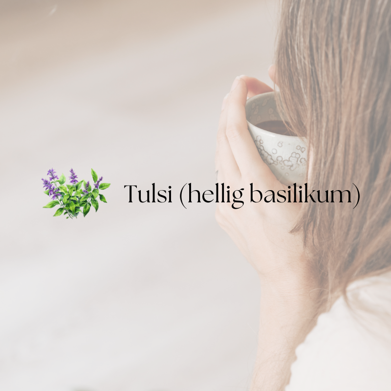 doTERRA Tulsi (Hellig basilikum)