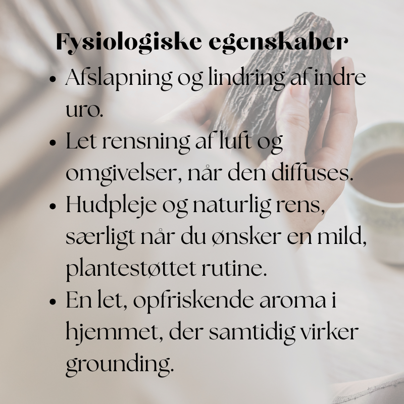 doTERRA Arbovitae/Thuja