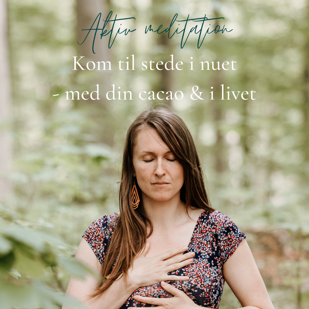 Aktiv meditation: Øget nærvær med Trauma Transforming Method (video)
