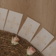 Oracle Cards & journaler - klarhed til dine ceremonielle stunder