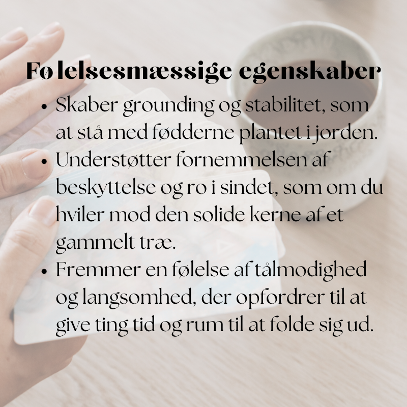 doTERRA Cedarwood (cedertræ)