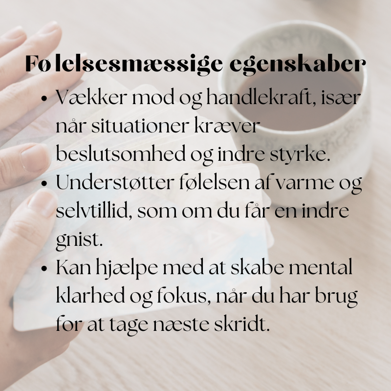 doTERRA Ginger (Ingefær)