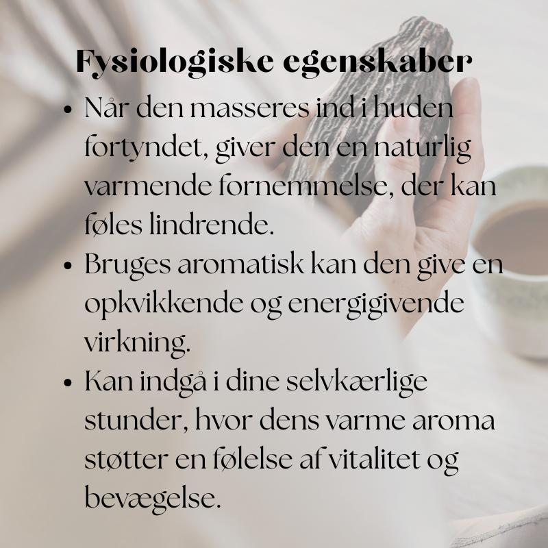doTERRA Ginger (Ingefær)