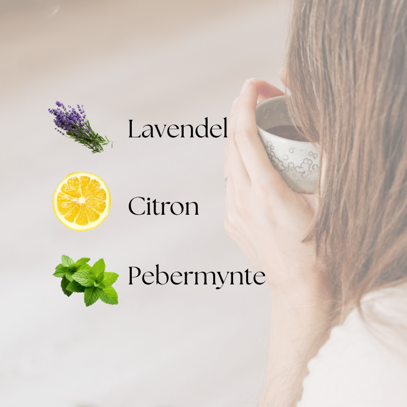 doTERRA Introductory Kit