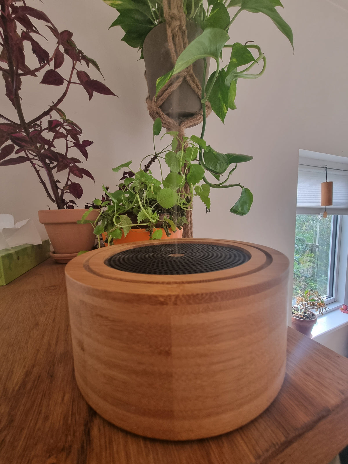 Aroma diffuser Elia
