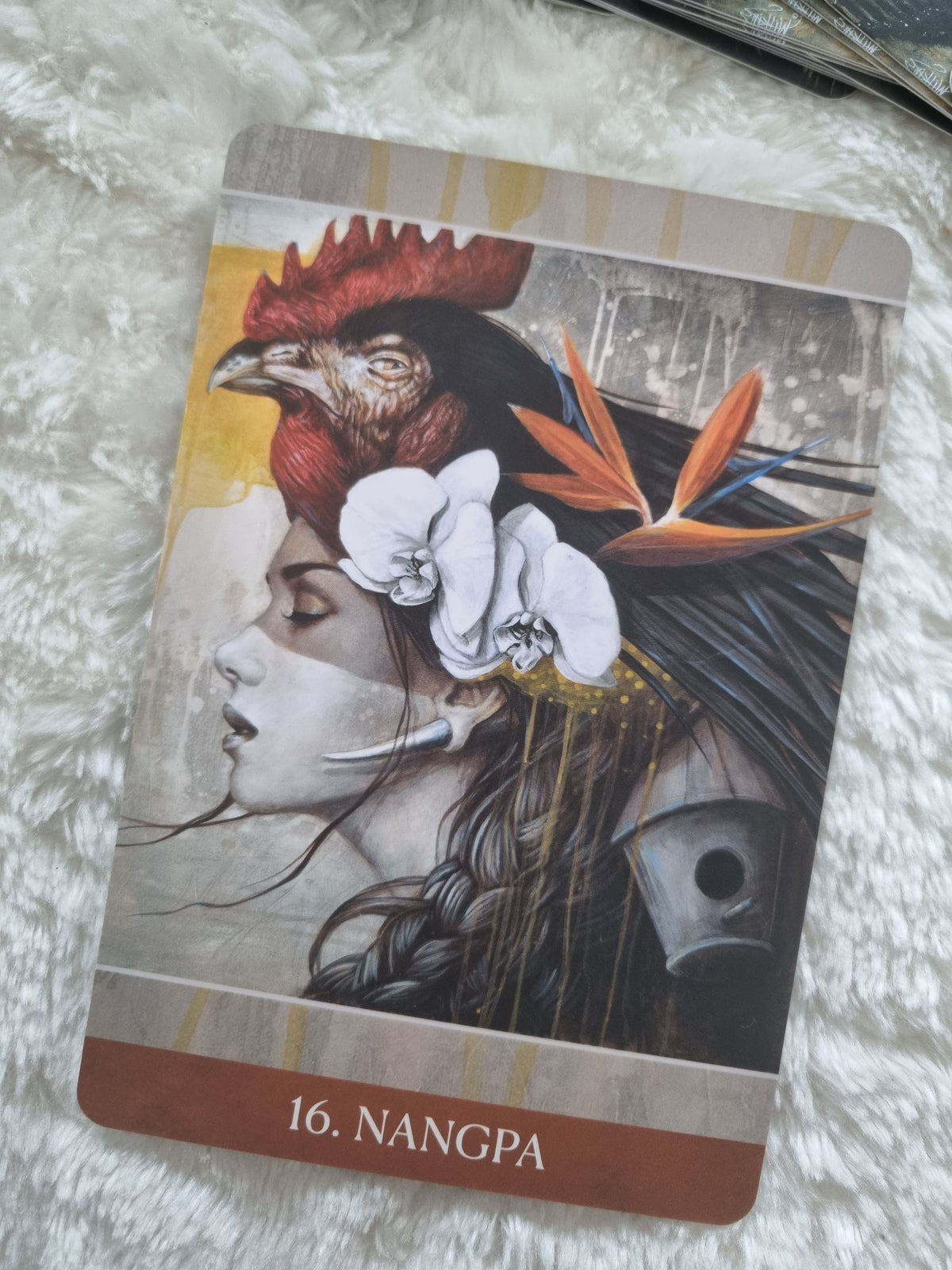 Medicine Heart Oracle (pocket edition)