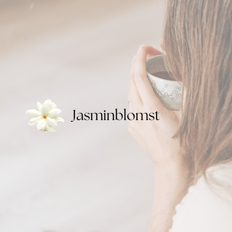 doTERRA Jasmine Touch