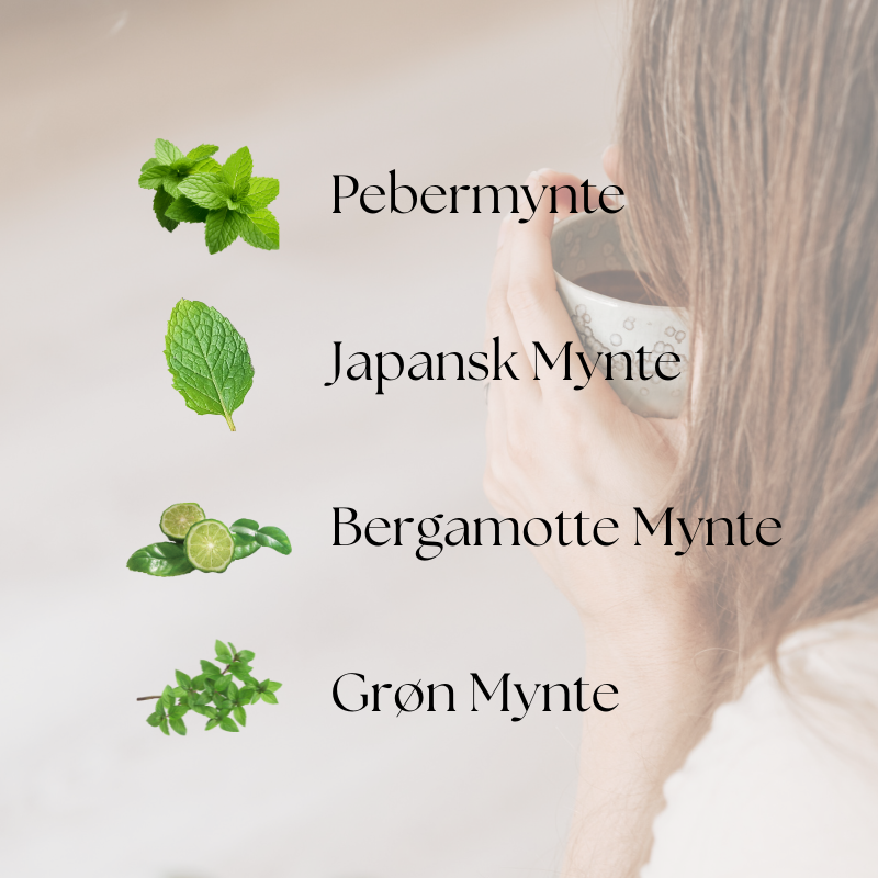 doTERRA Supermint (Mix af myntesorter)
