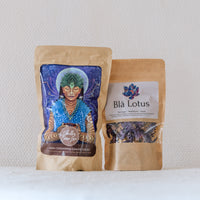 Vision & meditation ~ cacao & blå lotus