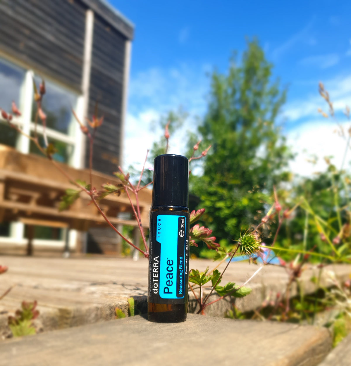 doTERRA Peace Touch