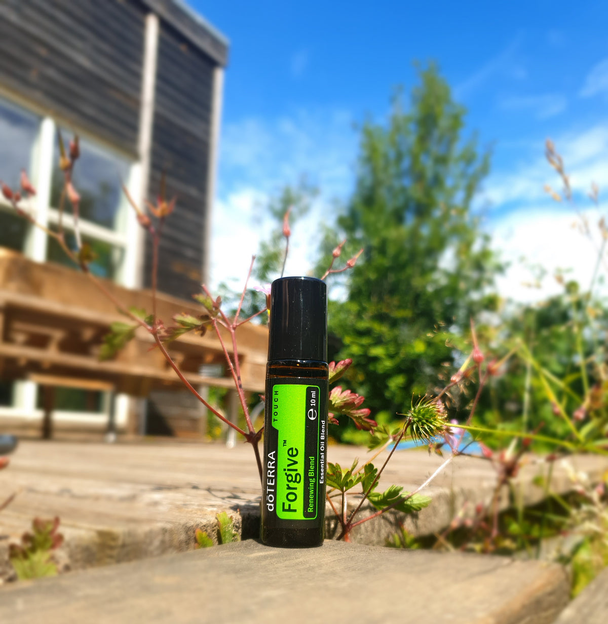 doTERRA Forgive Touch