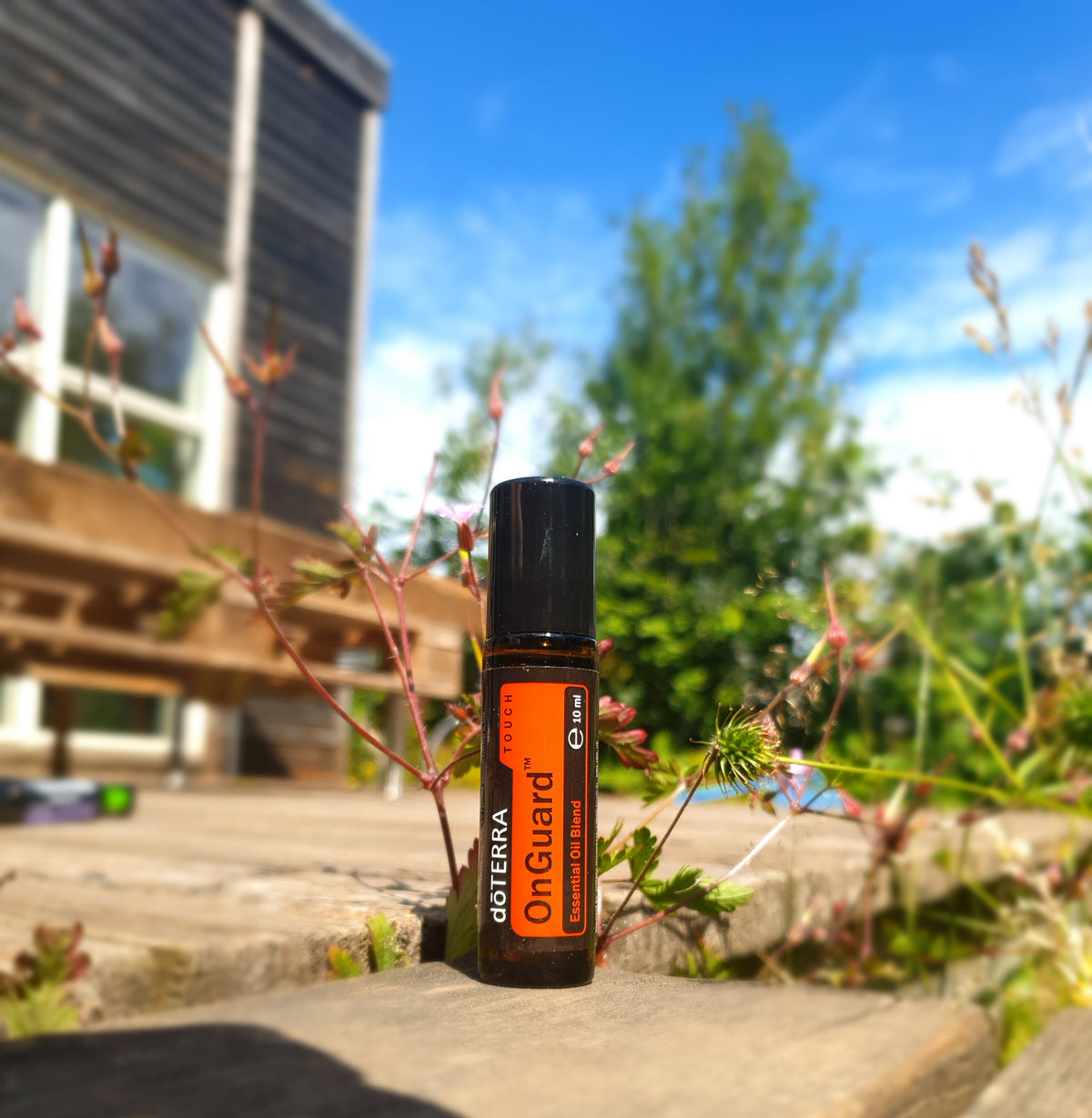 doTERRA On Guard Touch